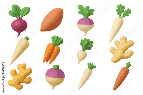 Colorful assorted vegetables on gradient background: carrots, turnips, ginger, radishes