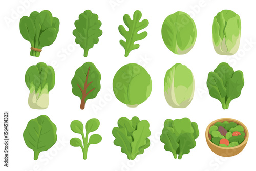Variety of leafy greens and vegetables on a green background