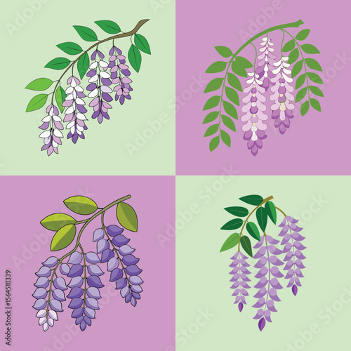 Wisteria Flower Flat Style Botanical Vector Illustration