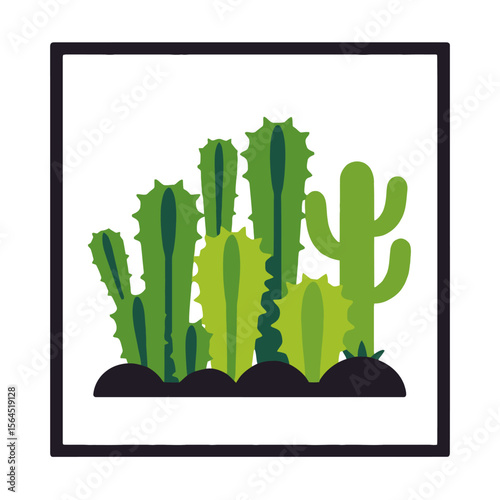 Illustration of various cactus plants in a square frame-Desert plants graphic design-Botanical illustration of green cacti-Succulent plants in a modern frame