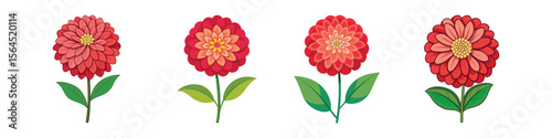 Zinnia Flower Flat Style Botanical Vector Illustration