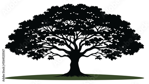 Vector art of a full silhouette of a leafy tree with a broad crown standing on a grassy ground isolated on white background