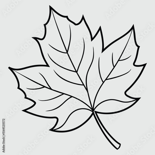 Simple outline drawing of a maple leaf on a light gray background