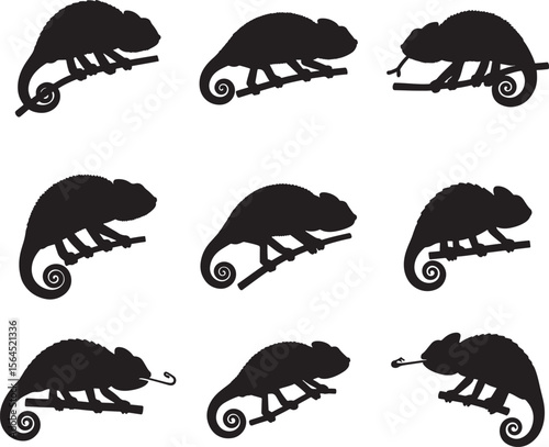 Collection of nine chameleon silhouettes perched on branches