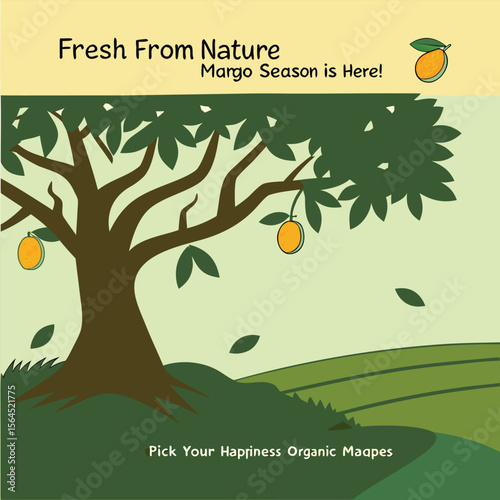 Fresh From Nature Organic Mangoes, Pick Your Happiness