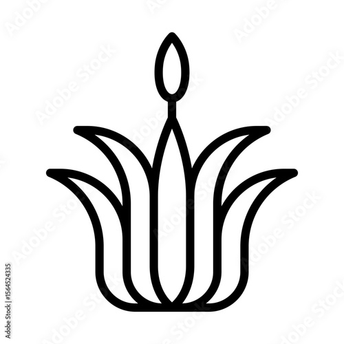 Calamus