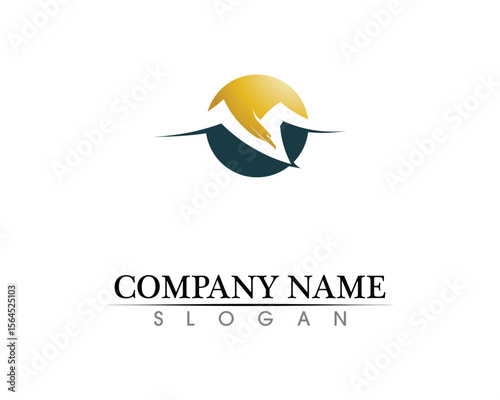 Falcon Wing Logo Template vector icon design