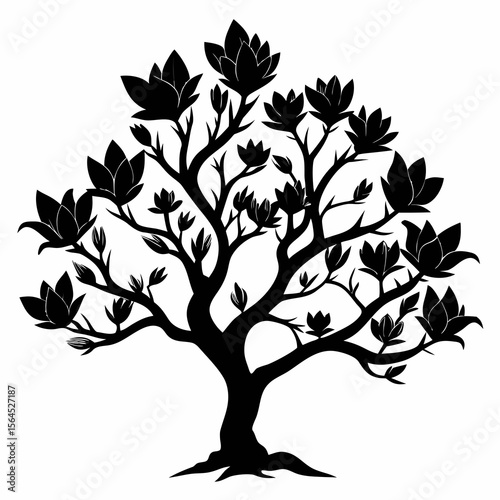 Magnolia Tree black Silhouette on white background 