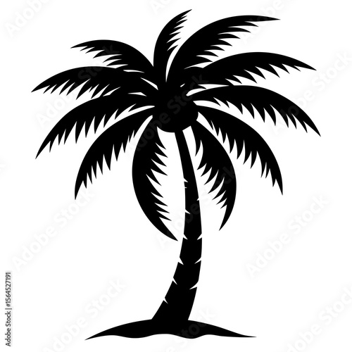 Palm Tree black Silhouette on white background 