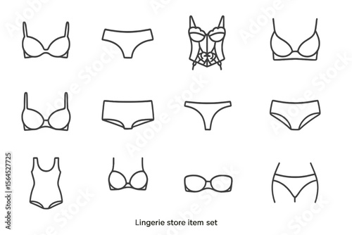 Assorted lingerie set: bras, panties, corset, swimsuit, bustier outlines
