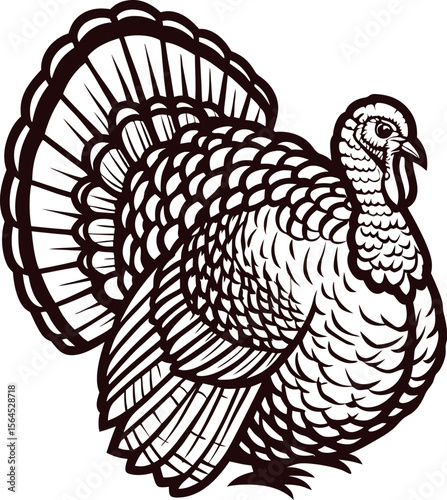 Intricate hand drawn turkey illustration with detailed feathers vintage black and white bird engraving