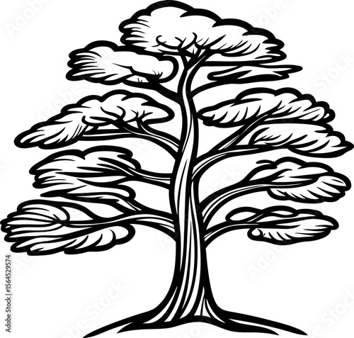 Hand drawn stylized tree with spreading branches and large leafy canopy isolated on white background