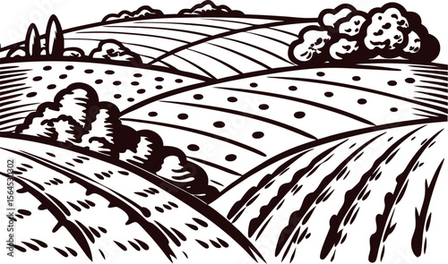 Vintage engraved illustration of rolling farmland with trees, hills and cultivated fields under a clear sky
