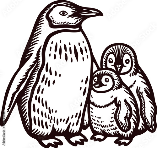 Hand drawn emperor penguin with two chicks vintage engraving wildlife family illustration