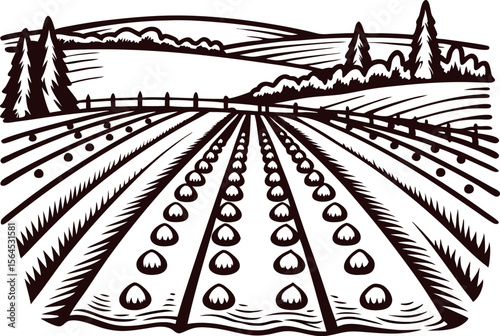 Hand drawn rural farmland landscape with distant hills and neat crop rows in vintage engraved illustration