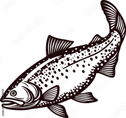 Detailed vintage illustration of a swimming trout fish with distinct scales, dorsal fin, and open mouth, isolated
