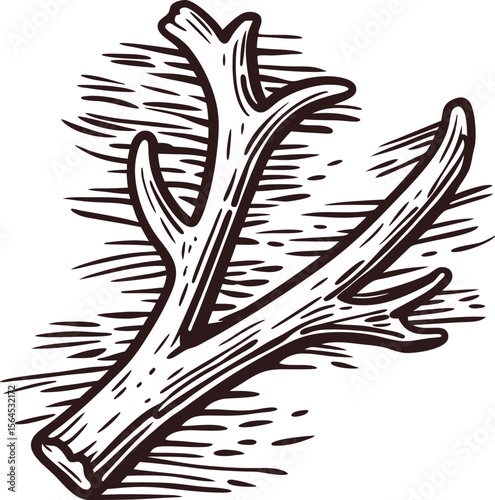Vintage engraved illustration of single deer antler branch isolated on white background