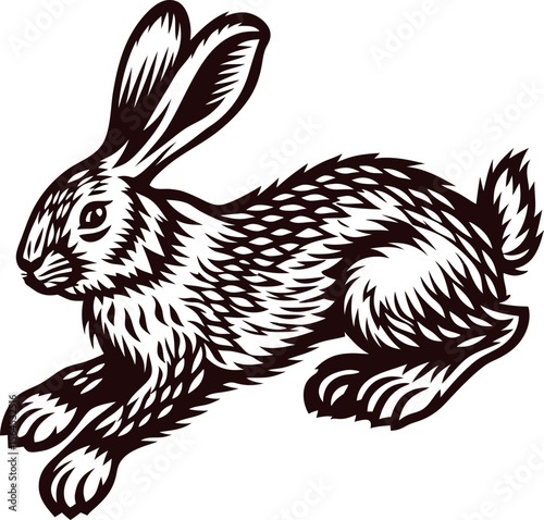 hand drawn vintage engraving of running rabbit black and white detailed illustration in engraving etching