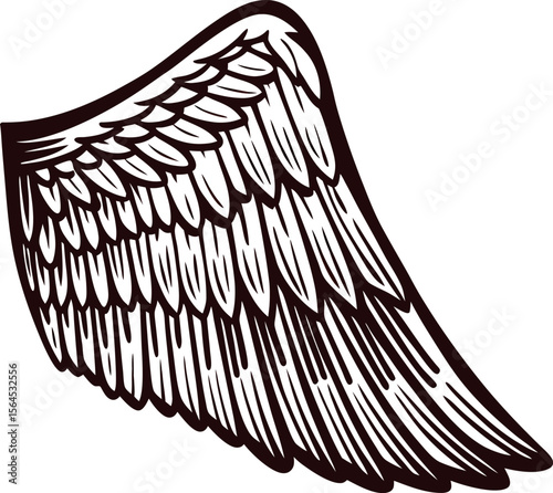 Detailed hand drawn feathered wing illustration in vintage engraving isolated on white background