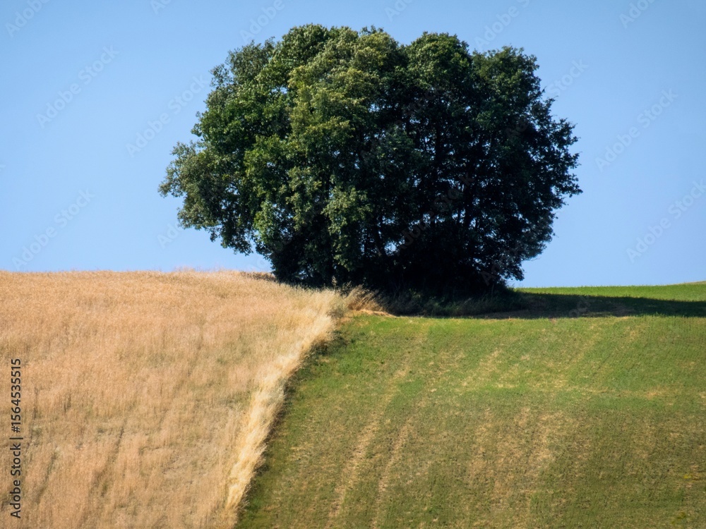 Obraz premium toscana tuscany