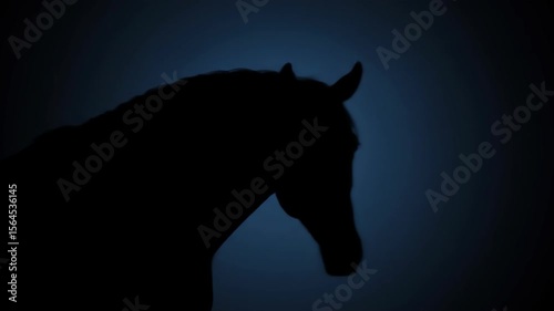 Horse Silhouette: Dark Majesty, Equestrian Mystery, Elegant Equine Profile