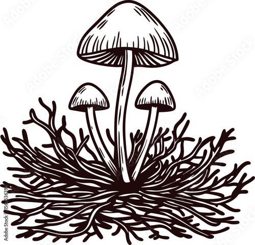 Vintage hand drawn mushrooms with grass and roots isolated on white background in engraving illustration