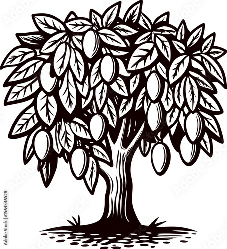 Engraved illustration of a mature mango tree with ripe fruit and detailed foliage isolated on white background