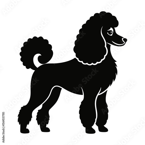 Stylish Groomed Poodle Dog Silhouette Design Graphic