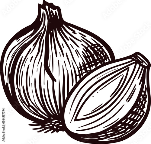 Hand drawn whole and sliced onion in vintage engraving isolated on white background