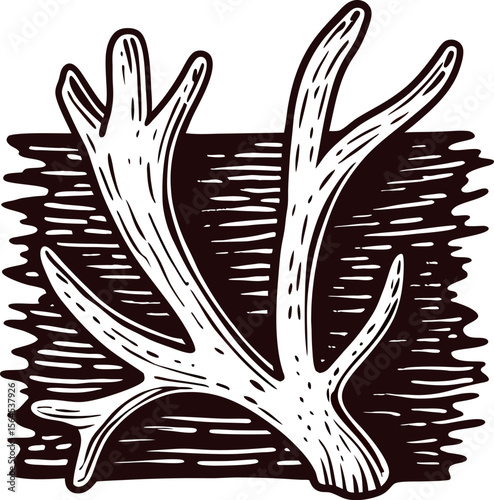 Hand drawn antler illustration with engraved woodcut texture in vintage retro