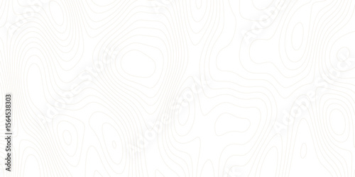 White wave paper curved reliefs abstract background Topographic map patterns, topography line map. Vintage outdoors style