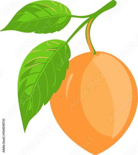 full-shot of a Peach Leaf Vine icon The backgroun