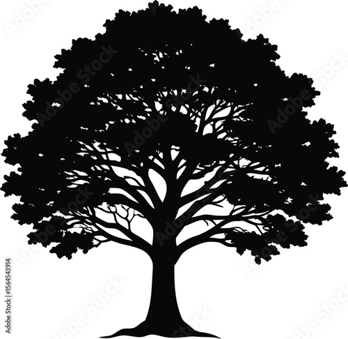 Majestic Silhouette of a Large Leafy Tree with Detailed Branches and Canopy  Elegant Nature Illustration new 2025 trendy
