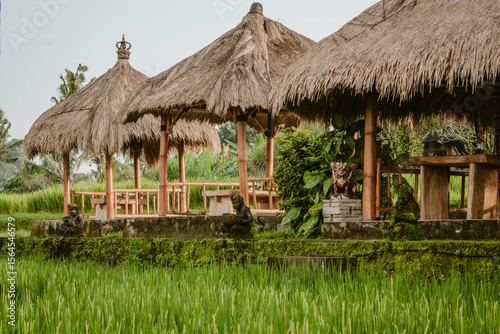 Quadro su tela Building bamboo huts with thatched roof between rice fields