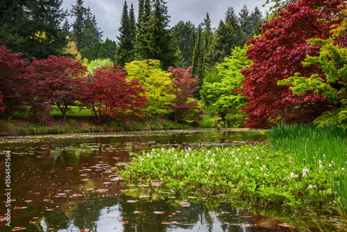 Vibrant fall foliage reflects on calm waters of a serene lake