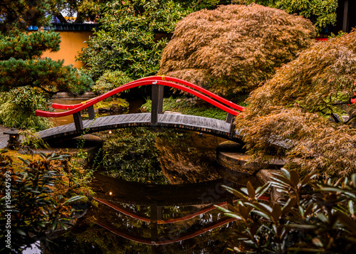 Serene red bridge over tranquil pond in lush garden setting