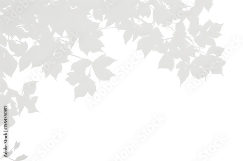 Natural shadow of tree branch isolated on white. Natural plant leaf shadow overlay light effect