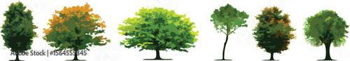 Collection of Lush Green Trees, Autumnal Colors, and Summer Foliage High-Resolution Vector Illustrations for Design Projects