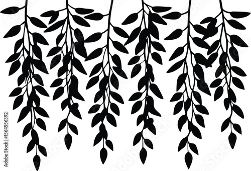 hanging willow leave silhouette vector.