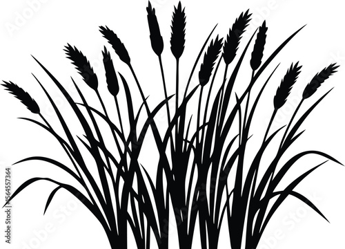 napier grasses silhouette vector