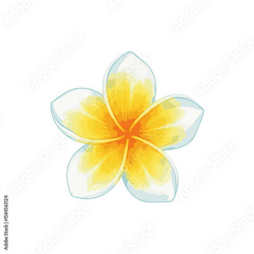 A beautiful watercolor painting of a single tropical plumeria (frangipani) flower. Isolated on white, this yellow and white blossom is perfect for spa, travel, and wedding-themed designs.

