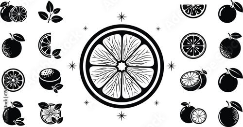 Black and white line art of citrus fruits and leaves in various forms