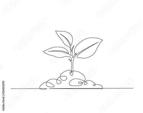 Plant on the pot outline drawing illustration. one continuous line drawing of house plant.