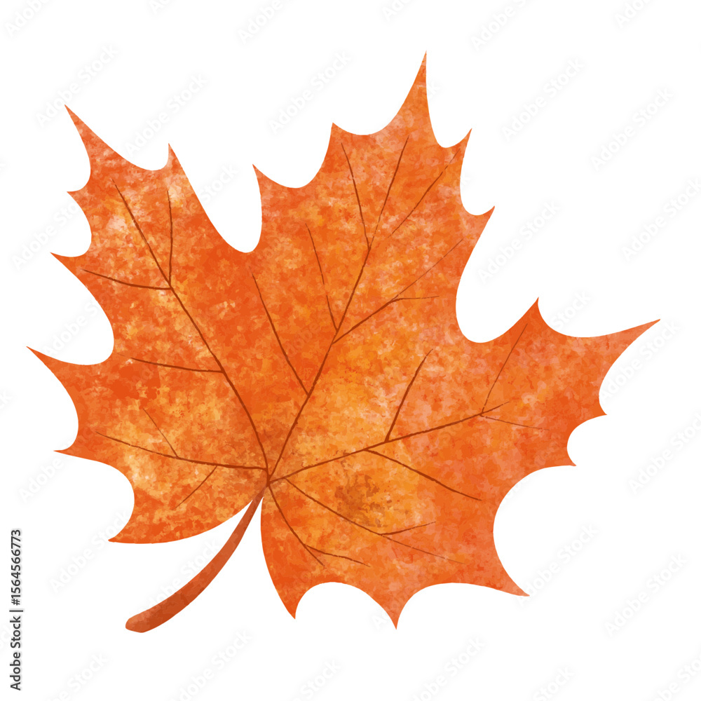 Fototapeta premium Watercolor Illustration of Autumn Leaves