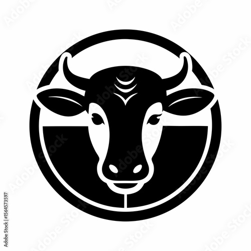 black and white cow