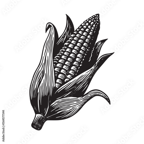 corn silhouette vector illustration on white background, A simple corn cob with some leaves art silhouette and black shape corn vector art illustration, Corn cobs elements icon vector illustration