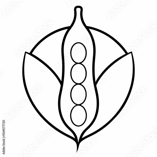 vector illustration of an apple