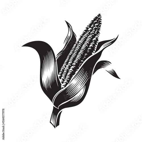 corn silhouette vector illustration on white background, A simple corn cob with some leaves art silhouette and black shape corn vector art illustration, Corn cobs elements icon vector illustration