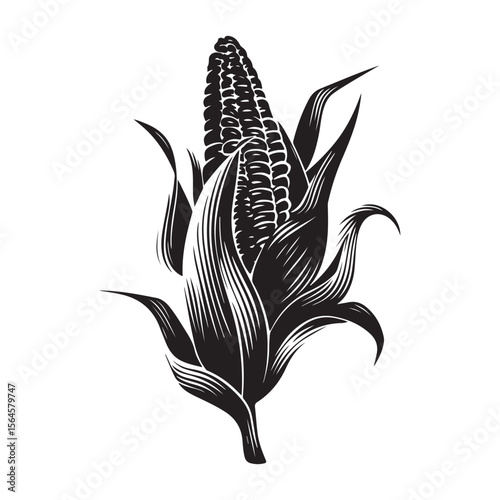 corn silhouette vector illustration on white background, A simple corn cob with some leaves art silhouette and black shape corn vector art illustration, Corn cobs elements icon vector illustration