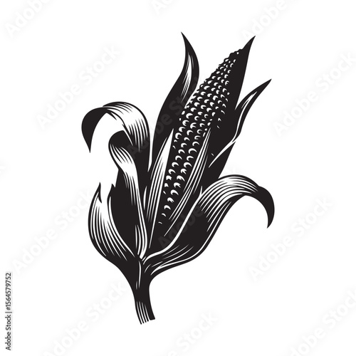corn silhouette vector illustration on white background, A simple corn cob with some leaves art silhouette and black shape corn vector art illustration, Corn cobs elements icon vector illustration